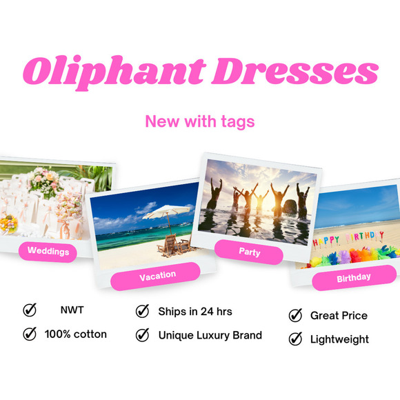 Oliphant Bubble Skirt  Vacation Tuckernuck Dress NWT - Picture 14 of 16